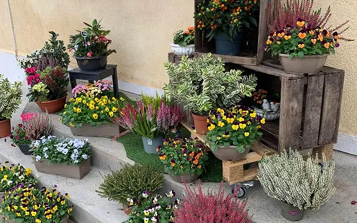 boutique de fleurs à La Chapelle-St-Ursin dans le Cher 18