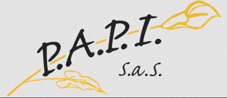 SAS P.A.P.I